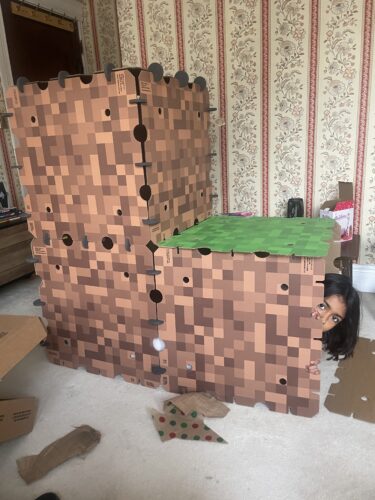 Minecraft Explorer Kit photo review